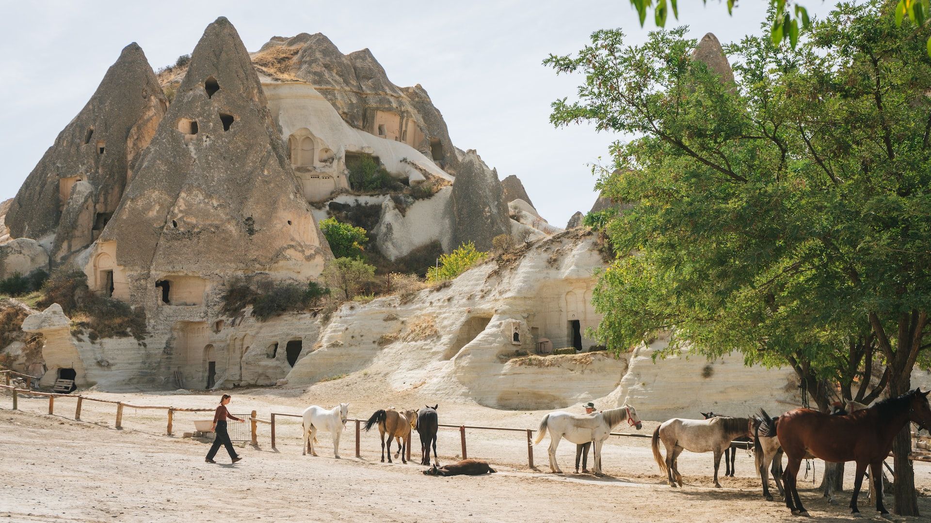 Cappadocia’s Best Horseback Riding Tours: A Guide